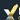 EzTrader