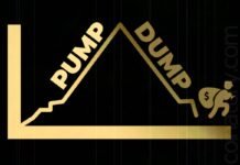 Perder dinero a través de esquemas de Pump and Dump