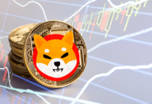 Shiba Inu aún podría hacerte rico, según expertos