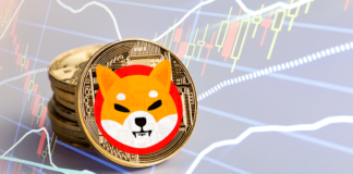 Shiba Inu aún podría hacerte rico, según expertos