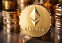 5 mejores altcoins para comprar en 2024